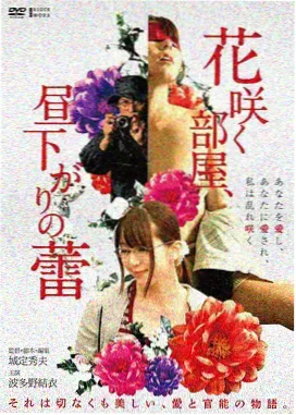 免费高清movie电影封面